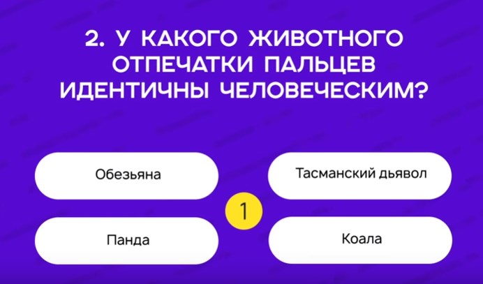 Тест на эрудицию